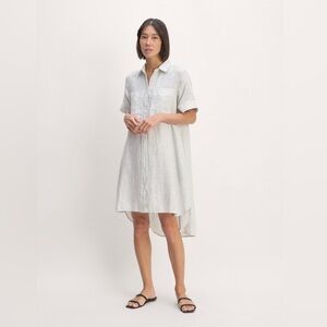 Everlane pinstripe Daytripper linen dress